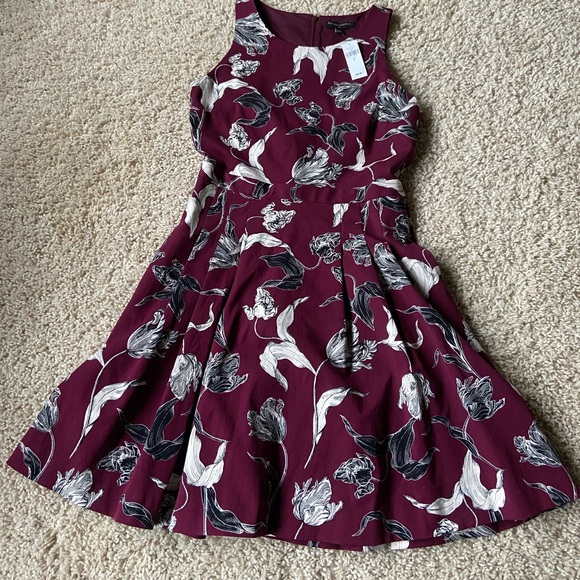 Gorgeous Banana Republic Dress NWT - Picture 1 of 4